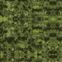 Dark Forest Green